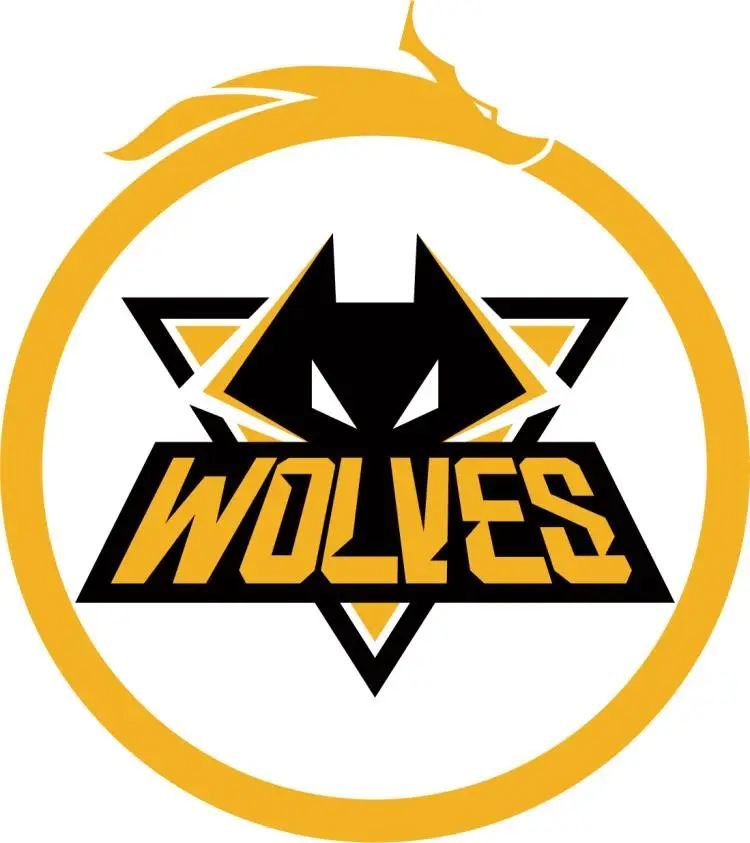 明日首发名单：朱开白教坐镇评论席 Flandre首发出战对决Shanji